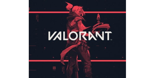 Valorant  2480VP