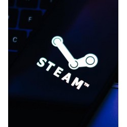 Steam Cüzdan Kodu 300 TL